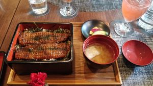 Unagi (vegan eel) at Saido in Tokyo