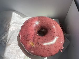 Vegan blueberry doughnut  at Cider Belly in Albany