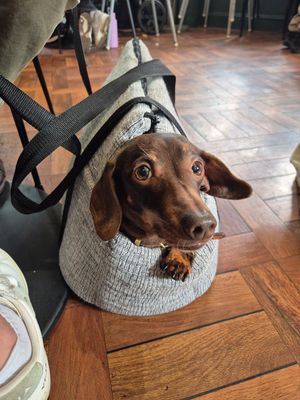 Happy customer at Cafe Strange Brew in Glasgow