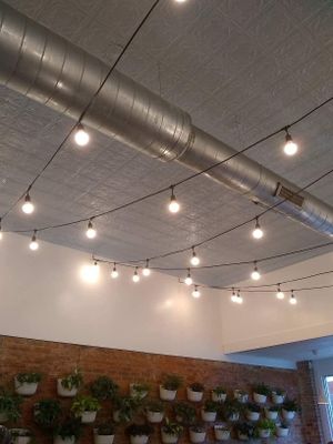 decorations / live plants at Native Bagel Company in Berea