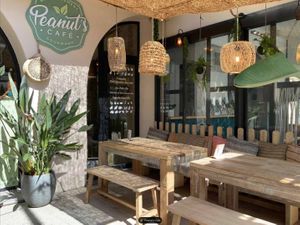 The Terrace (Dog's welcome)  at Peanut's Café in Sainte-maxime