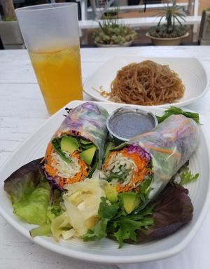 Avocado Prism Roll with tahini dressing and pickled ginger on the side. Jasmine green tea. Sweet potato noodles. at Nancy's Sky Garden in Austin