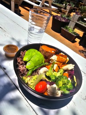 Budda Bowl w/teriyaki tofu & spicy vegan mayo!! at Nancy's Sky Garden in Austin