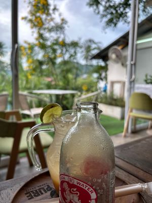 Garden  at Pure Vegan Heaven in Koh Samui