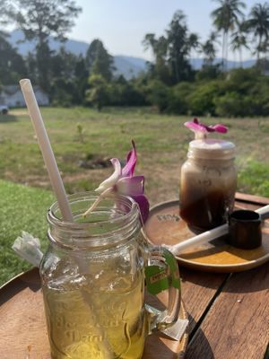 Jasmine tea and caramel machiato  at Pure Vegan Heaven in Koh Samui