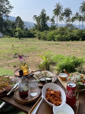 So yummy food and beautiful backyard  at Pure Vegan Heaven in Koh Samui