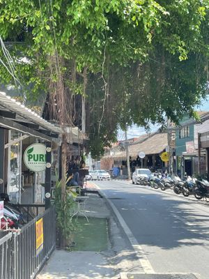   at Pure Vegan Heaven in Koh Samui