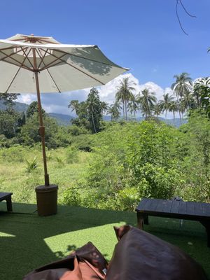   at Pure Vegan Heaven in Koh Samui