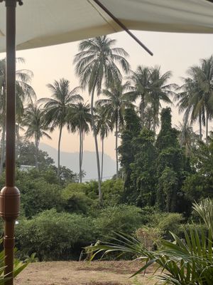   at Pure Vegan Heaven in Koh Samui