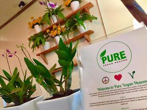 Pure Vegan Heaven Koh Samui at Pure Vegan Heaven in Koh Samui