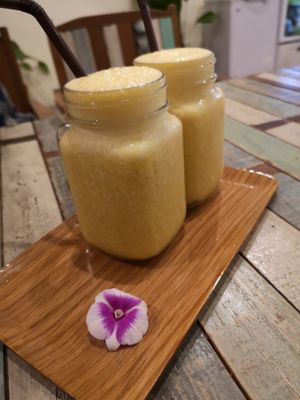 rise & shine at Pure Vegan Heaven in Koh Samui