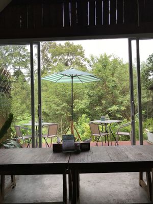 jungle backyard at Pure Vegan Heaven in Koh Samui