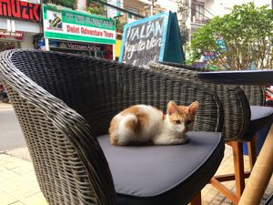   at The Sky Over Dalat in Da Lat