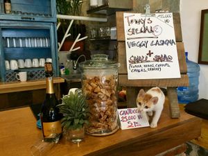 Special dish lasagna vegetable vegetarian at The Sky Over Dalat in Da Lat