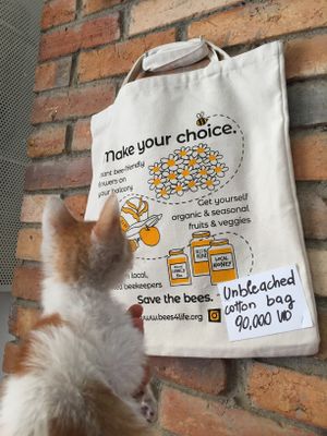 Bee's bag at The Sky Over Dalat in Da Lat