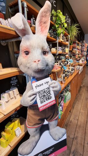 Call to sign petition againdt animal testing at LUSH in Haarlem