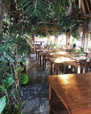Lush interior at Shelter Cafe in Seminyak