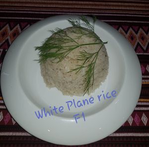 Vegan HUMMUS Platter+100g
serve with 1 pita. at The Pharaoh's Restaurant in Vientiane