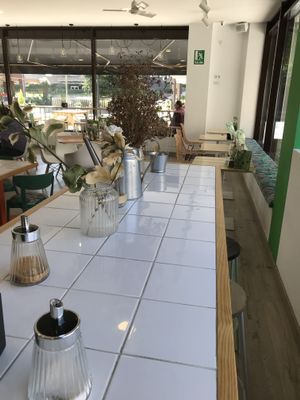 place2 at Zooko in Oviedo