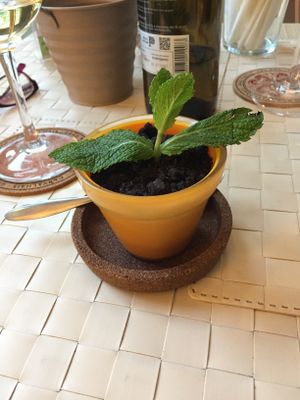 Chocolate mousse 😋 at Café Garrett by Ohana in Lisbon