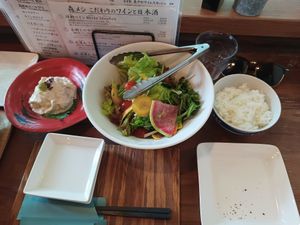 Yuba sashimi, salad and rice at Mori-meshi in Hakone