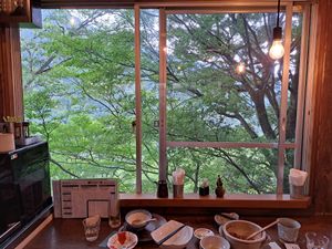 Nice view of trees at Mori-meshi in Hakone