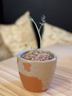 Amazing desert (Macetita de la concepcion) at La Concepción in Tenerife