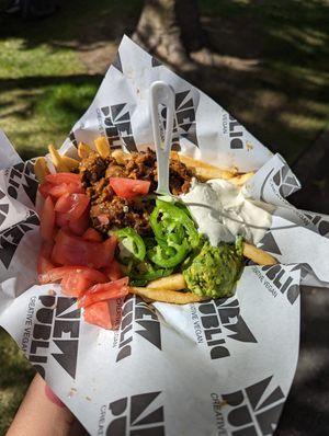 Asada fries (VegFest special) at New Public - Food Truck in Bellingham