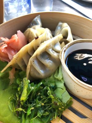 Mushroom dumplings (one of the “very few vegan options”) at Clear Sky Cafe in Clearwater Beach