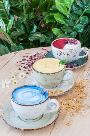 Superfood lattes! Spirulina, turmeric, and rose  at Erpingham House at Cloud Twelve in West London
