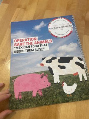   at Healthy Substance - Garfield Ridge in Chicago