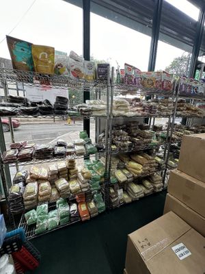   at The House of Mistry in North West London