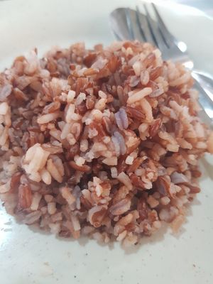 Brown rice @$1 at 340 Vegetarian in Northeast Singapore