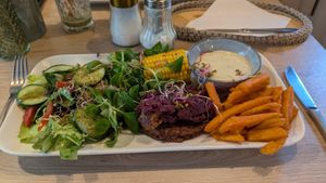 pea-based plant steak with sweet potato fries and vegetables at Zielona Baza in Rzeszow