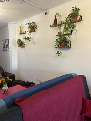   at Balance Bowl in Gzira