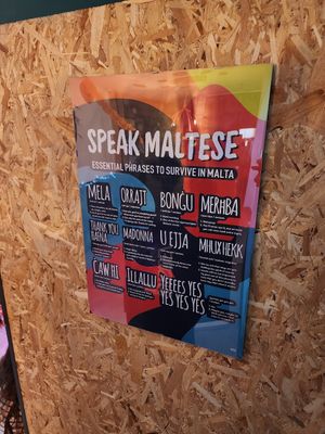  at Balance Bowl in Gzira