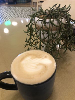 Soy flat white at Kindred NZ in Dunedin