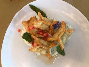 Wontons  at Kindred NZ in Dunedin