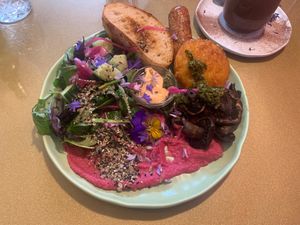  at Kindred NZ in Dunedin