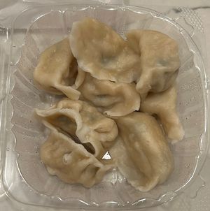 A8 steamed tasty dumplings  at Loving Hut - Chandler St in Worcester