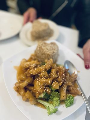 Sesame Chicken  at Loving Hut - Chandler St in Worcester