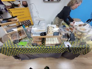 Green Island Vegan Market June 2024 at Rachel's Vegan Cakes in Wrexham