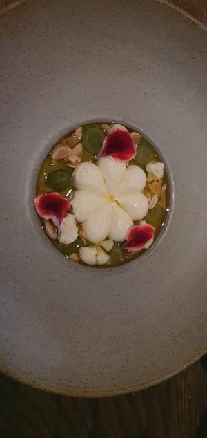 Cauliflower foam at Natura in Helsinki