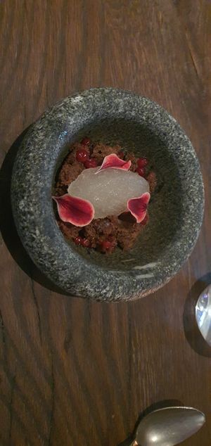 Champagne sorbet with chocolate cake at Natura in Helsinki