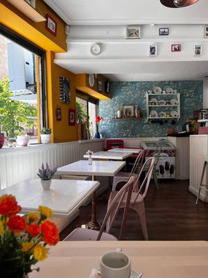   at Salamanca Magenta Cafe & Bar in Salamanca