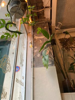 Interior - view from my seat at Wild & The Moon - Saint Honoré in Paris