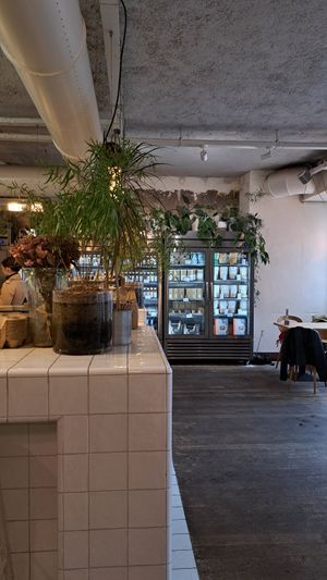  at Wild & The Moon - Saint Honoré in Paris