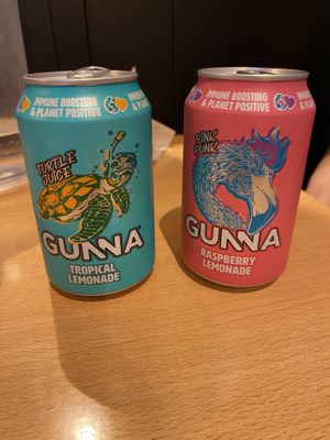 The Sodas  at Theory (ex-BurgerTheory) in Paris