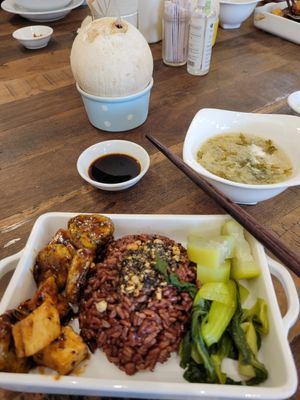 Vegan Fennel Balls, Tofu, and Pepper🌶 Sauce, with Brown Rice  🍚  #Veganuary at Mang's Mania in Ho Chi Minh City