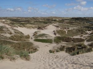 Beautiful dunes.
Youd can walk for many hours.
A few minutes from our B&B. at Villa La Vida in Egmond Aan Zee